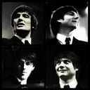 The Love Beatles
