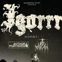 Igorrr