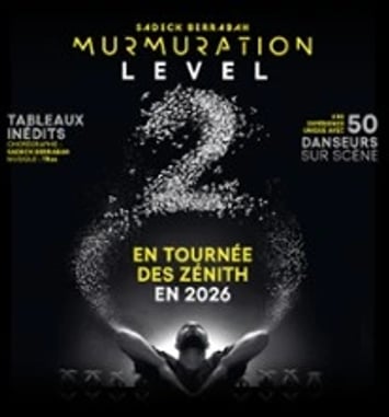 Murmuration Level 2, chorégraphié par Sadeck Berrabah