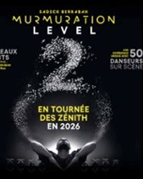 Murmuration Level 2, chorégraphié par Sadeck Berrabah
