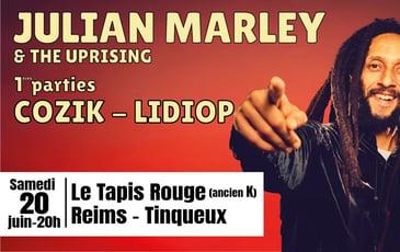 Julian Marley, Reggae Night 2