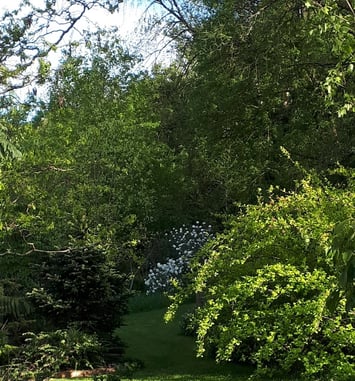 Visite du jardin de l'Eau Vive