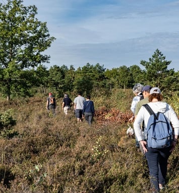 A la découverte des Pâtis du Mesnil