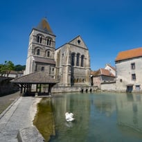 Visite de l'église Saint-Martin : découverte de la crypte et rencontres artistiques
