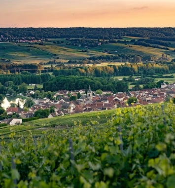 Histoire des fabricants de pressoirs de Cumières