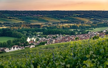 Histoire des fabricants de pressoirs de Cumières
