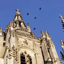 Visite guidée de la Basilique de l'Epine