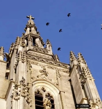 Visite guidée de la Basilique de l'Epine