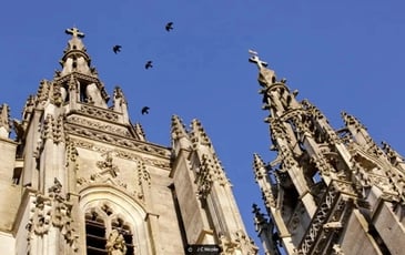 Visite guidée de la Basilique de l'Epine
