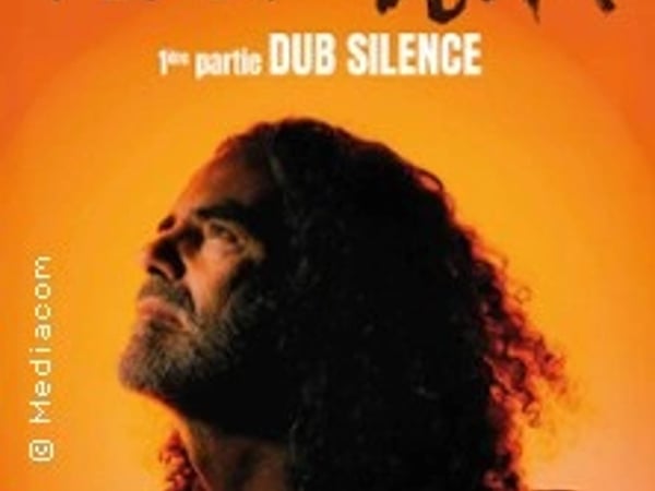 Pierpoljak et Dub Silence, Reggae Night #3