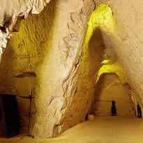 Visite guidée des crayères de la Maison G.H. Martel