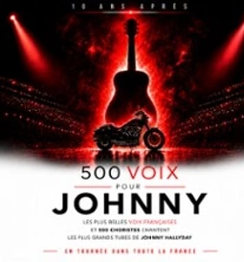 500 voix pour Johnny, 10 ans après, tournée