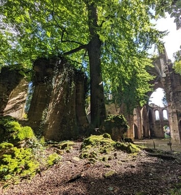 Découverte de l'Abbaye cistercienne de Trois-Fontaines