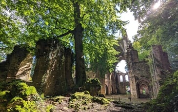 Découverte de l'Abbaye cistercienne de Trois-Fontaines