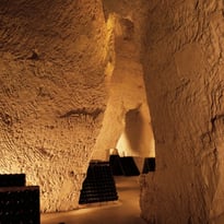 Visite guidée de la Maison de Champagne Taittinger