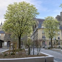 Autour de la cathédrale