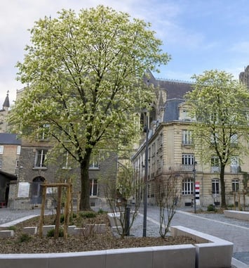 Autour de la cathédrale