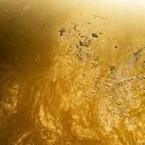 Visite gustative "À voir et à boire" au FRAC Champagne-Ardenne