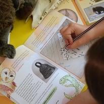 Drôles d'animaux !