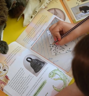 Drôles d'animaux !