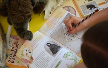 Drôles d'animaux !