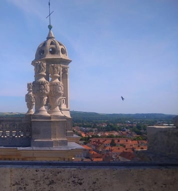 Découvrez la tour sud d'une collégiale et son superbe panorama