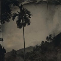 Atelier de photographie ancienne – Le collodion humide