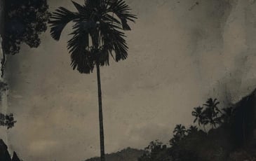 Atelier de photographie ancienne – Le collodion humide