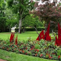 Visites guidées du jardin d'horticulture