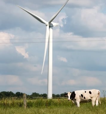 Visite guidée du parc éolien du Pays d'Anglure