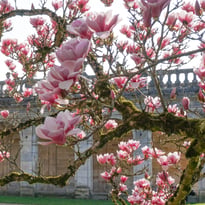 Abbaye de Trois-Fontaines