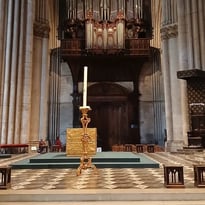 Visite patrimoniale et musicale autour des orgues de la Cathédrale