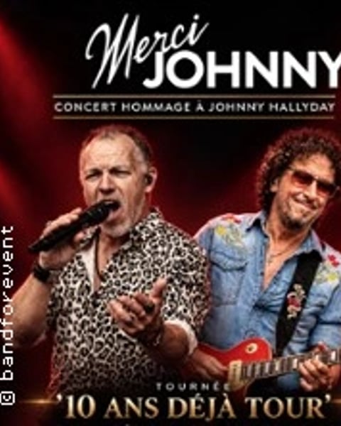 Merci Johnny - Concert Hommage à Johnny Hallyday